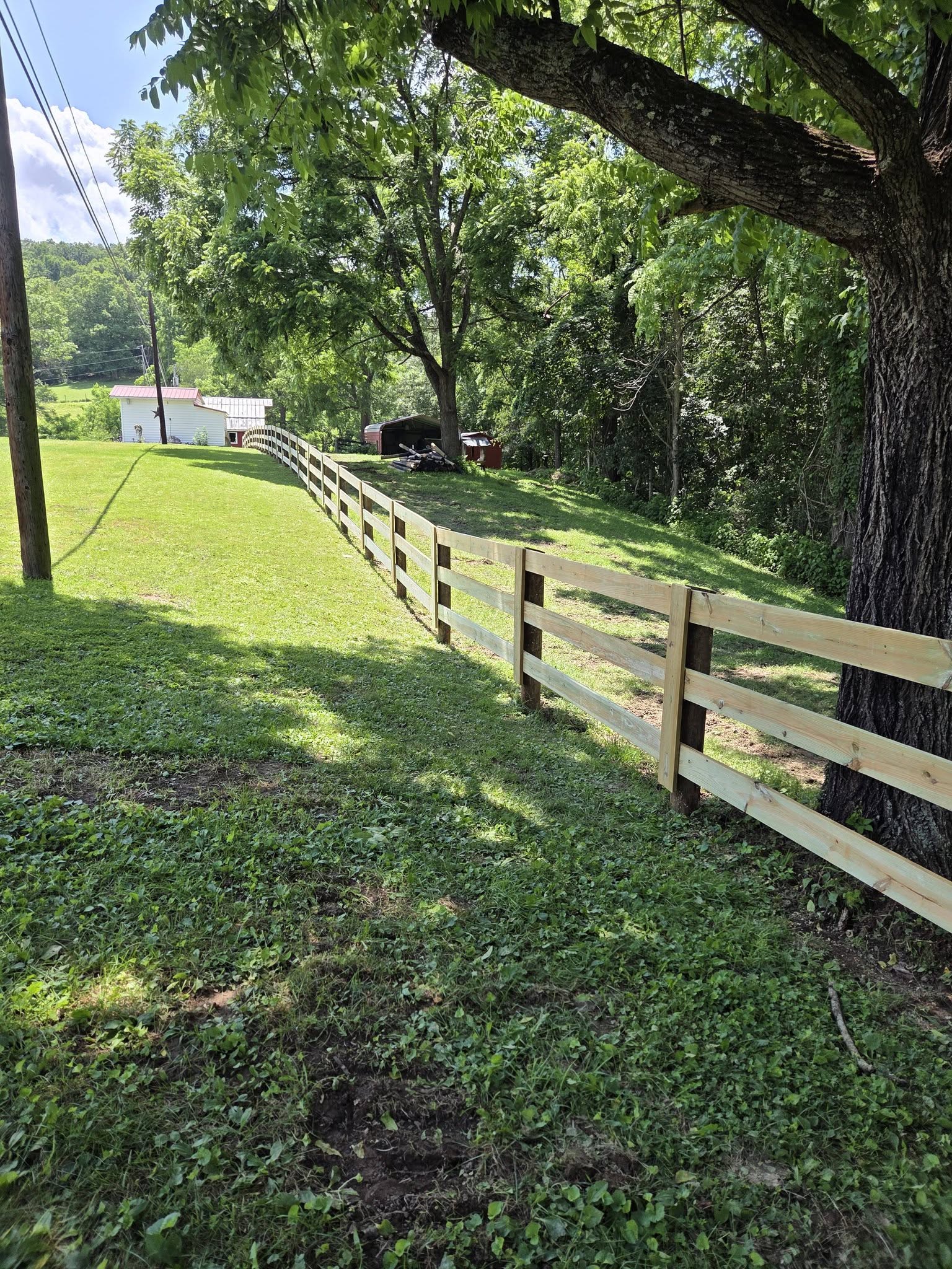 Horse fencing