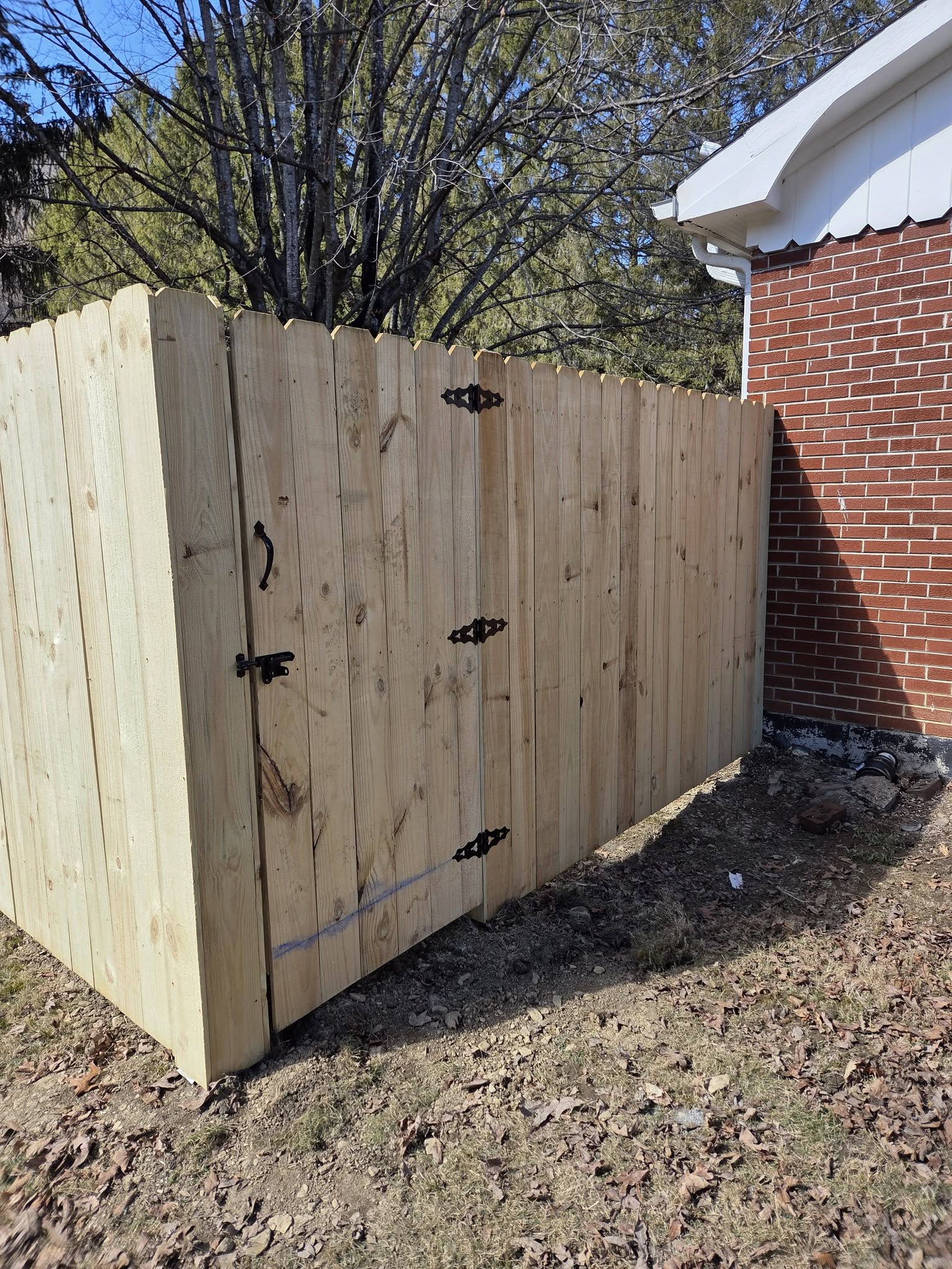 Pressure treated fence