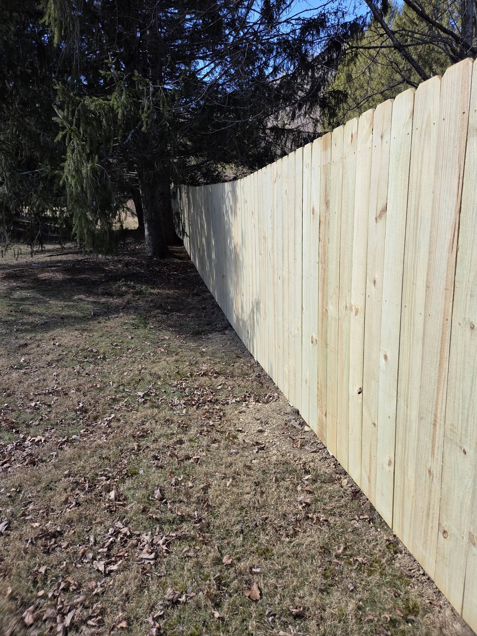 Pressure treated fencing